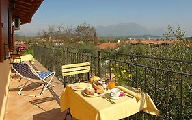 B&B Agli Ulivi