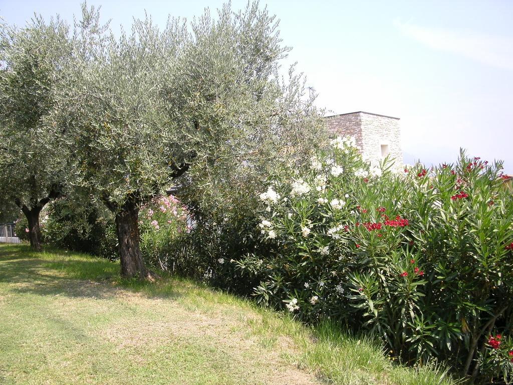 B&B Agli Ulivi Manerba del Garda Buitenkant foto